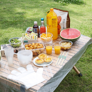 Disposable Tableware Set For 10 People With Cups Bowls Chopsticks Spoons Camping Outdoor Picnic Use Transparent Multifunctional - Product Image 2
