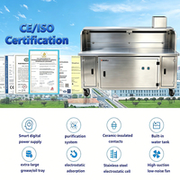 Venta Directa de Fábrica, Parrilla de Carbón Comercial con Certificación CE para Camiones de Comida, con Precipitador Electrostático (ESP) para Mercados Nocturnos