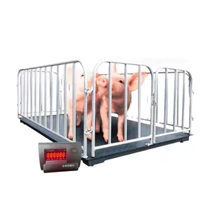 Livestock Scales Cattle Weighing Scale 1ton 2ton 3ton Carbon Steel Electronics Cattle Scales With Fence