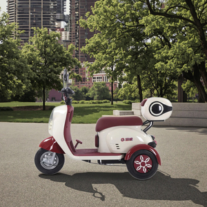 CAICHI 중국 공급 업체 전동 전기 3 륜 자전거 노인용 가정용 48V/20ah 납산 배터리 전기 세발 자전거 - Product Image 2