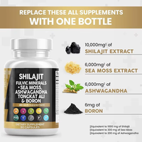 Capsule de Shilajit OEM, complément énergétique tout-en-un avec Tongkat Ali, Sea Moss, Ashwagandha, PQQ, CoQ10, Magnésium, performance masculine