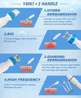 Appareil de microdermabrasion Hydra Dermabrasion avec 14 poignées en acier inoxydable pour la réduction des pores et l'anti-âge, pour usage commercial