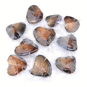 ไข่มุกน้ำจืดเพาะเลี้ยงแบบขายส่งจากฟาร์ม กล่องสุ่มไข่มุกธรรมชาติแบบเม็ดเดี่ยว สีขาว ม่วง ดำ ชมพู บรรจุภัณฑ์สุญญากาศ - Product Image 1