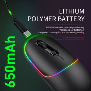 <span class=keywords><strong>Mouse</strong></span> Wireless <span class=keywords><strong>Bluetooth</strong></span> 2.4G Dual Mode <span class=keywords><strong>Mouse</strong></span> da Gaming RGB 1600DPI Ricaricabile Tipo C <span class=keywords><strong>Ergonomico</strong></span> per Laptop PC Computer - Product Image 3