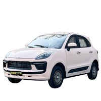 Véhicule électrique à 4 roues à basse vitesse, 4 places, 5 portes, homologué pour la circulation routière (L6e L7e), idéal pour les entreprises de location, autonomie de 200 à 300 km, puissance de 150 à 200 kW