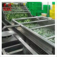 Hoge Kwaliteit 500 Kg/u Automatische Blad Groente Bubbel Wasmachine Fruit Wassen Drogen Verwerking Lijn Luchtstroom Fruit Ontwater Machine