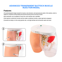 Simulador de Enseñanza Médica BIX-H5T, Simulador de Entrenamiento de Inyección Intramuscular en Glúteos de PVC para el Aprendizaje de Anatomía