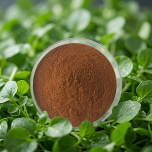 Polvo de Hoja de Perejil Marítimo 10:1, Extracto de Perejil Marítimo en Polvo <span class=keywords><strong>Nasturtium</strong></span> <span class=keywords><strong>Officinale</strong></span> 20:1, Soluble en Agua - Product Image 2