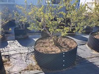 Pot de culture en plastique de 25 gallons pour élagage aérien, pot respirant pour le contrôle des racines, idéal pour pépinière, serre, système hydroponique, pot de fleurs pour élagage des racines