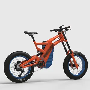무료 배송 4LEAF 전자 자전거 독특한 디자인 Ebike 탄소 토크 센서 20 인치 Ebike 에이스 48V 250w-3000W 24.5Ah