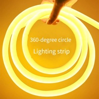 Lampe d'ambiance LED étanche pour extérieur 12-24V pour éclairage paysager de jardin intérieur - Bande lumineuse néon multicolore