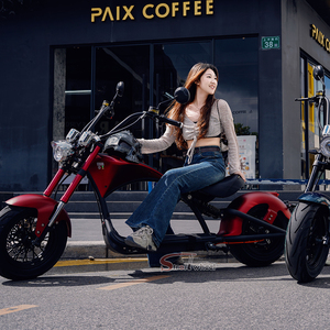 25 KM/H sur COC Citycoco Moto Électrique Gros Pneu Scooter Top Vente Citycoco Scooters Électriques Terrain de Golf pour Adultes - Product Image 5