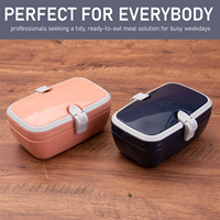 Boîte à lunch portable noire avec grande poignée, double couche, sans BPA, récipient alimentaire en plastique, boîte à lunch bento pour le travail
