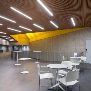 Lámpara Lineal LED de Aluminio Enlazable, Colgante, con Acabado Blanco/Negro/Plateado, Luz Blanca Cálida para Oficina, Biblioteca, Supermercado - Product Image 4