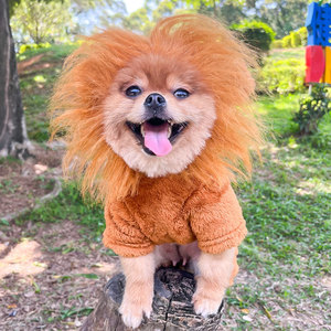 <span class=keywords><strong>Disfraz</strong></span> de gato y perro de franela de 4 Patas de invierno-Traje de León de cobertura completa para Bulldog francés, pijamas acogedores para Cachorros para razas pequeñas - Product Image 2