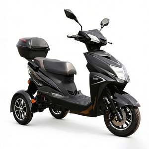 <span class=keywords><strong>Bicicleta</strong></span> Eléctrica de 3 Ruedas Estilo Retro, Scooter de Movilidad Urbana, Motocicleta Eléctrica de 800W con Neumáticos Anchos, Triciclo Eléctrico para Adultos, para Desplazamientos Diarios - Product Image 4