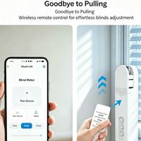 Kit moteur de store enrouleur WiFi Tuya, moteur intelligent pour stores zébrés avec télécommande, rechargeable par USB, pour fenêtres de chambre et de salon