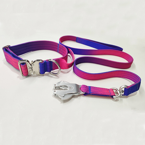 Ensemble collier et laisse pour chien de <span class=keywords><strong>combat</strong></span> tactique en nylon multicolore personnalisé harnais robuste dégradé de sept couleurs - Product Image 3