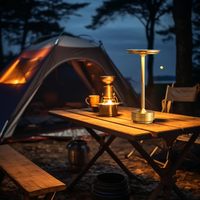 Lampe de bureau moderne nordique rétro 5V LED alimentée par batterie USB Rechargeable E26 Base en aluminium corps contrôle tactile Dimmable veilleuse