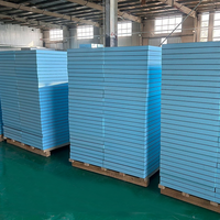 Fournisseur d'usine Panneau de support de carrelage XPS Isolation thermique du sol Panneau imperméable Salles de bain Polystyrène Panneau Wedi Applications murales