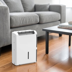 DS Portable <b>Dehumidifier</b> for Household Timer Function Touch Control Easy Moving OEM ODM Available - Product Image 1