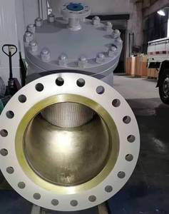 Van B3 12 inch 150LB lưới thép không gỉ CF8M lọc chữ Y dùng cho khí hoặc hơi nước - Product Image 2