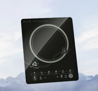 Fabricant chinois de céramique vitrocéramique noire pour panneaux de cuisinières à induction, panneaux de fours à micro-ondes, panneaux de commande tactile