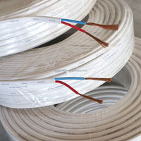 Cable Eléctrico Industrial Flexible RVV, Cable de Aleación de Cobre Trenzado con Aislamiento de PVC, 1/1.5/2.5/4mm