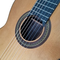 Aiersi Brand Professional Guitar 7-strings Classical Guitar Solid Musical Instruments