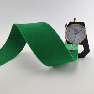 2CM <strong>Polyester</strong> <strong>Elastic</strong> Woven Thicken Lock Edge <strong>Colorful</strong> <strong>Elastic</strong> Band for Clothes Wholesale Sewing Accessories <strong>Elastic</strong> Cord - Product Image 4