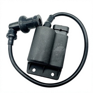 Allumeur de bobine d'allumage de moto haute tension pour <span class=keywords><strong>Piaggio</strong></span> FLY100 DZ100 BYQ100T - Product Image 1