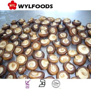 Chất Lượng Cao Cấp <span class=keywords><strong>Iqf</strong></span> Đông Lạnh Shiitake Nấm Dinh Dưỡng <span class=keywords><strong>Iqf</strong></span> Nấm Cho Bữa Ăn Lành Mạnh - Product Image 5