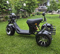 Triciclo Eléctrico de Tres Ruedas con Asiento Ancho, Motor Delantero, Plegable, Carrocería Cerrada y Asiento para Pasajeros