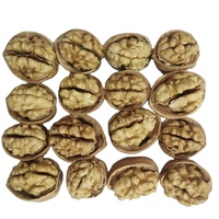 Venta caliente Nueces de alta calidad Nueces nutritivas y saludables Comida saludable Nueces chinas naturales