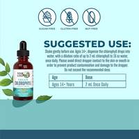 OEM Private Label Chlorophylle Liquid Drops Energy Boost Système immunitaire Support interne Best