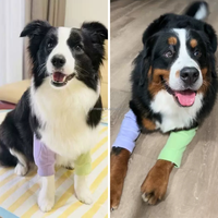 Attelle réglable pour coude et genou de chien, bandage de protection pour patte avant, traitement des callosités, anti-léchage