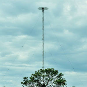 Accessorio per Torre di Telecomunicazione con Protezione Antifulmine ad Alta Velocità e Supporti in Acciaio - Product Image 3