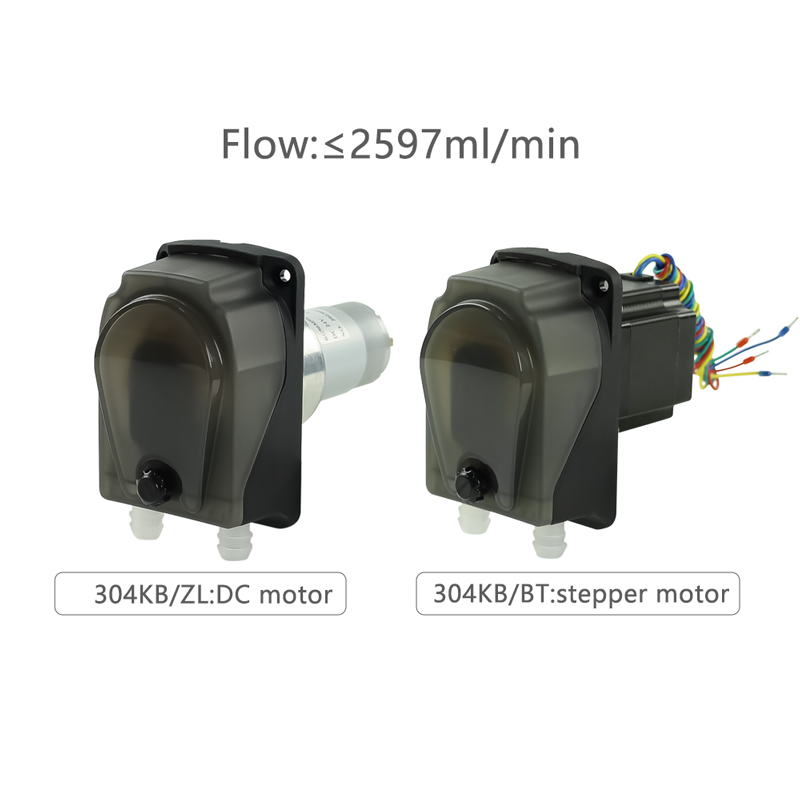 PENGPU 24V Mini peristaltik pompa yüksek hassasiyetli 70mLPM step Motor mikro su
