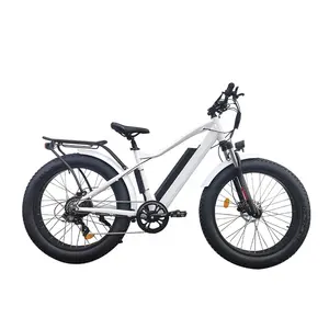 Lantu Ebike high quality 48v 750w motor fat tire mountain e bike electric off road bicycle with eu ce certificate