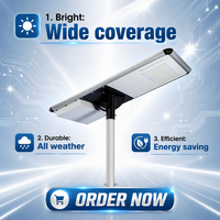 Fabricants de lampadaires LED, lampes extérieures intégrées 100W, énergie solaire, lampadaires solaires