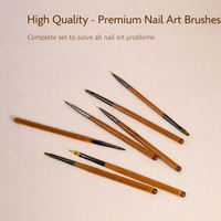 Kit de 9 pinceaux de précision pour gel à ongles, manche en acrylique, nylon doux, ovale, pour salon et usage domestique, outils de peinture UV pour détails – Vente chaude