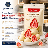 Fresas Liofilizadas con Chocolate Blanco, Dulce de Frutas Premium, 58g, 40 Bolsas, 12 Meses de Caducidad, Listo para Comer, OEM, Marca Privada