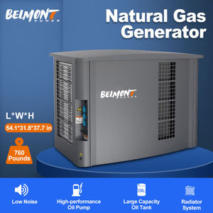 Générateur domestique alimenté au gaz naturel 13KW 14KW BPD15REG B - Product Image 3