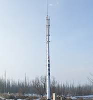 Tour monopoteau en acier au carbone galvanisé à chaud, robuste et économique, haute capacité de charge, hauteur personnalisable, pour télécommunications