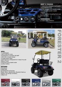 Meilleure vente en gros prix gros scooters 48V batterie au lithium à vendre tout-terrain Buggy HDK EVOLUTION voiturette de golf électrique - Product Image 4