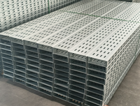 Câble ventilé de type échelle en acier inoxydable pour usage industriel et construction, fixation murale extérieure, prix direct usine