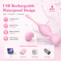 Wiederaufladbarer Silikon-Beckenbodentrainer mit 10 Vibrationsmodi Wasserdichtes Design Großhandelslieferant