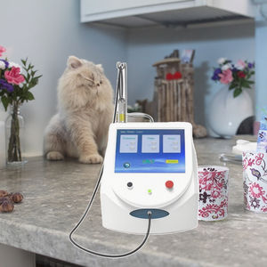 Láser de diodo de potencia fuerte 980nm 30W fisioterapia de potencia uso veterinario para inflamación de mascotas máquina de curación de heridas - Product Image 1