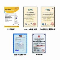 Ready-to-Eat Instant Frozen Big Size Steamed Bun Halal Wheat Flour Grain Bread Chinese Traditional Food in Bag Packaging