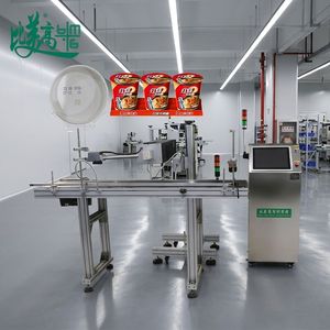 Codificador Láser de CO2 Totalmente Automático con Detección de Visión por IA y Transportador de Rechazo NG: Solución de Codificación sin Defectos para Líneas de Producción - Product Image 1